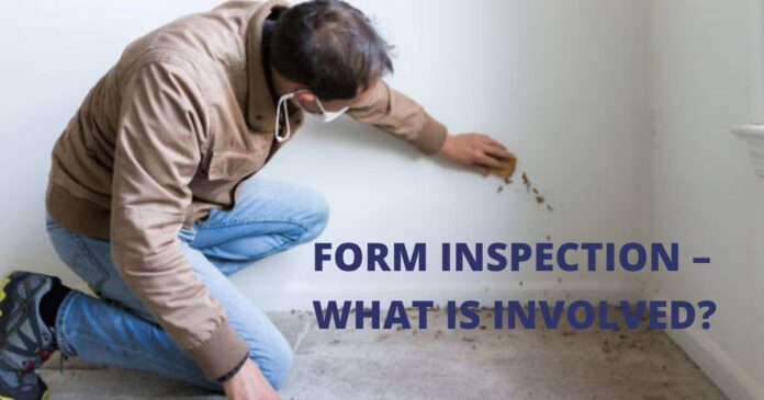 Form Inspection – Mold inspection - dailyblowg