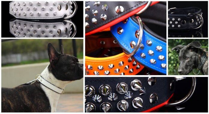 badass collars for dogs